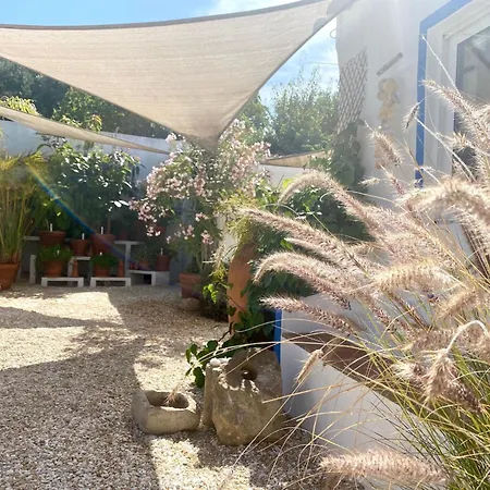 Casa vacanze Verao Nur Fuer Erwachsene By Interhome