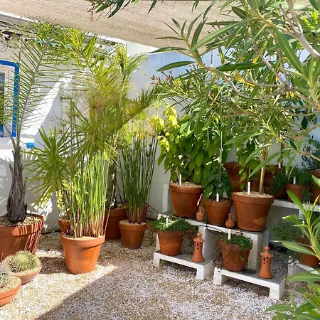 Verao Nur Fuer Erwachsene By Interhome Vakantiehuis Santa Bárbara de Nexe