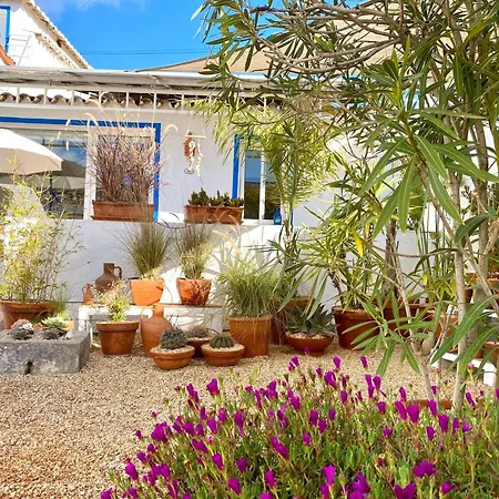 Verao Nur Fuer Erwachsene By Interhome