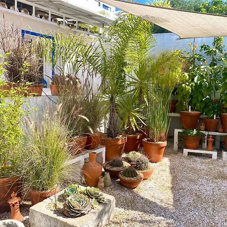Verao Nur Fuer Erwachsene By Interhome * Santa Bárbara de Nexe